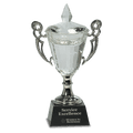 9 1/2" Crystal Cup with Silver Handles and Stem