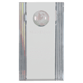 7 3/4" Clear Crystal Rectangle with Globe Etching