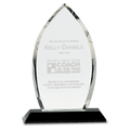 9 1/2" Clear Crystal Oval on Black Pedestal Base