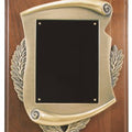 9" x 12" Genuine Plaque w/ Scroll Frame & plate