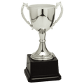 Silver 8 3/4" Completed Zinc Cup Trophy