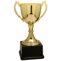 Gold 11" Completed Zinc Cup Trophy