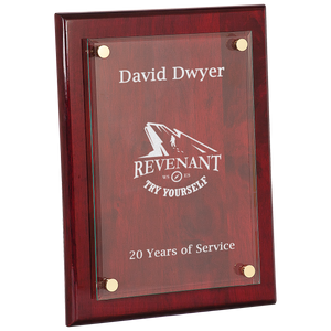 9" x 12" Piano Finish Floating Glass Plaque