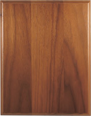 8" x 10" Step-Edge Genuine Plaque