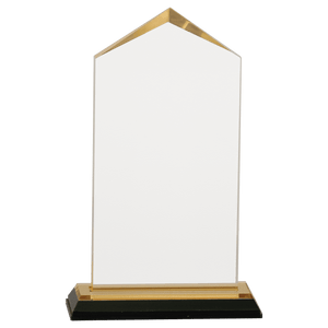 Gold 3 1/2" x 7 1/2" Jewel Impress Acrylic