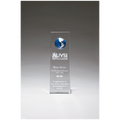 2 3/4" x 8" Crystal Trophy with Blue Globe