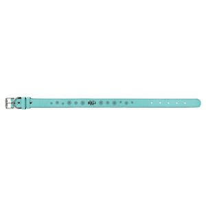 Teal Large 23" x 1" Laserable Leatherette Dog Collar