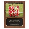 12" x 15" American Walnut Finish Photo Plaque with Black Brass Plate-Holds 8" x 10" Photo