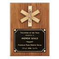 9" x 12" Walnut Plaque with Gold EMT Star of Life and Black Brass Plate