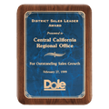 Walnut Plaque with Gold 9" x 12" American Border Sapphire Marble LaserFX Plate