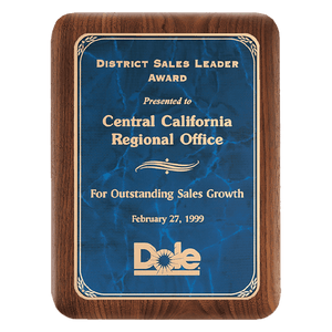 Walnut Plaque with Gold 9" x 12" American Border Sapphire Marble LaserFX Plate