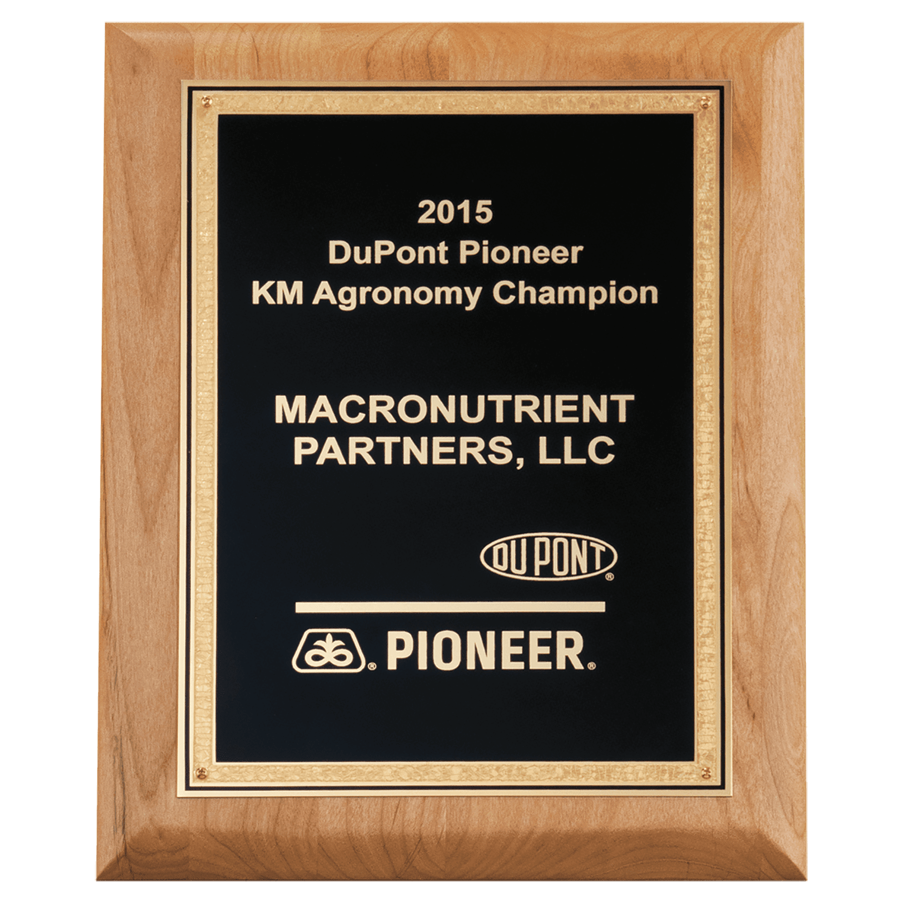 Alder Wood Plaque with Black Textured, Gold 9" x 12" Natural Florentine Bordered LaserFX Plate