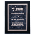 9" x 12" Airflyte Black High Gloss Plaque with Gray Marble/Silver Florentine Border