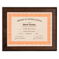 13" x 10 1/2" Finish Slide-In Frame Plaque with 11" x 8 1/2" Window