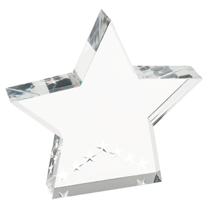 Silver 5" Star Performer Acrylic