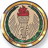 2 Inch in Diameter Round Achievement Torch Insert with Mylar Detailing