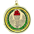 ACHIEVEMENT MYLAR MEDAL