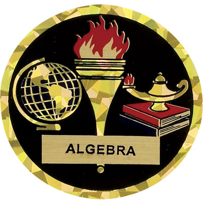 2 Inch in Diameter Round Algebra Themed Insert with Mylar Detailing