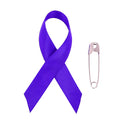 Awareness Ribbon Domestic Violence, Animal Abuse 2 -1/4 INCH x 1-1/4 INCH with Safety Pin