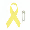 Awareness Ribbon Support Our Troops/Suicide Prevention/Missing Child 2-1/4 INCH x 1-1/4 INCH with Safety Pin
