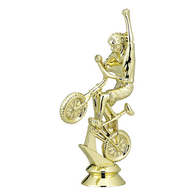 BICYCLE BMX TROPHY FIGURE