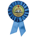 BLUE ROSETTE AWARD RIBBON WITH 2 INCH STUDENT RECOGNITION AWARD MYLAR INSERT