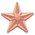 BRONZE STAR PIN 3/4 INCH