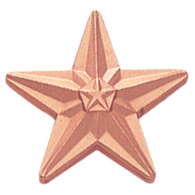 BRONZE STAR PIN 3/4 INCH