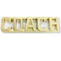 COACH CHENILL PIN GOLD