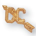 CROSS COUNTRY CHENILLE PIN