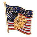 EAGLE ON AMERICAN FLAG PIN