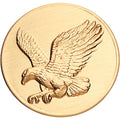 EAGLE SOARING