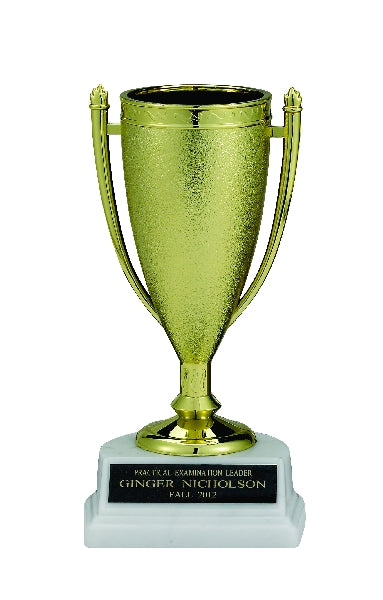 GOLD CUP TROPHY, 6-1/2 INCH, WHITE MARBLE BASE