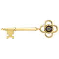GOLD POLISHED KEY WITH 1 INCH INSERT