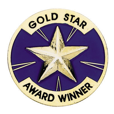 GOLD STAR AWARD WINNER PIN