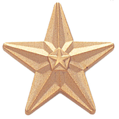 GOLD STAR PIN 3/4 INCH