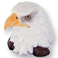 HAND PAINT EAGLE HEAD, 4-1/2 INCH