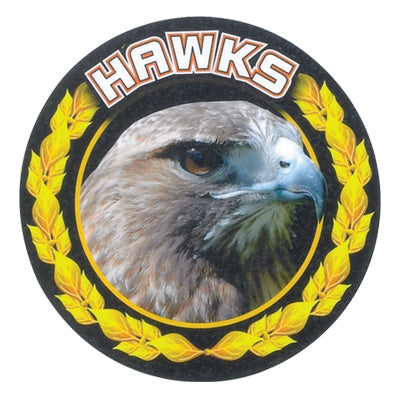 2 Inch in Diameter Round Gold 'Hawks' Sports Insert with Mylar Detailing