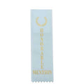 MENCION HONORABLE LIGHT BLUE SPANISH