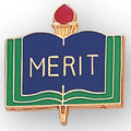 MERIT PIN ACADEMIC ENAMELED