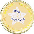 2 Inch in Diameter Round Most Improved Insert with Mylar Detailing
