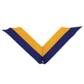 NECK RIBBON, BLUE AND GOLD