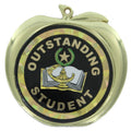 2-1/2 Inch Outstanding Student Themed Apple Medal in Gold