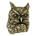Owl Mascot Antique Brass Pin