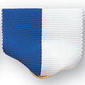 PIN BACK RIBBON BLUE/WHITE