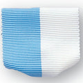 PIN RIBBON LIGHT BLUE & WHITE