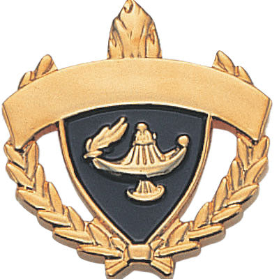 1 INCH WREATH WITH LAMP OF LEARNING ACADEMIC AWARD BLANK (FOR ENGRAVING) LAPEL PIN