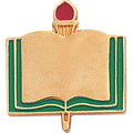PLAIN BOOK PIN GOLD