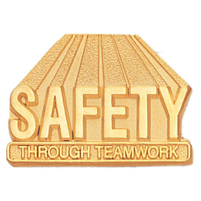 SAFETY THROUGH TEAMWORK PIN