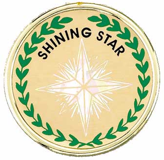 2 Inch in Diameter Round Shining Star Insert with Mylar Detailing